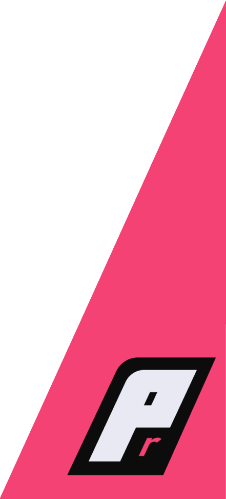 Red triangle in footer with the point reverie logo